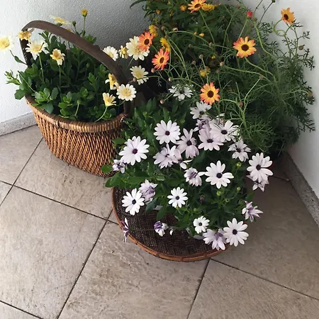 Гостьовий будинок Intra