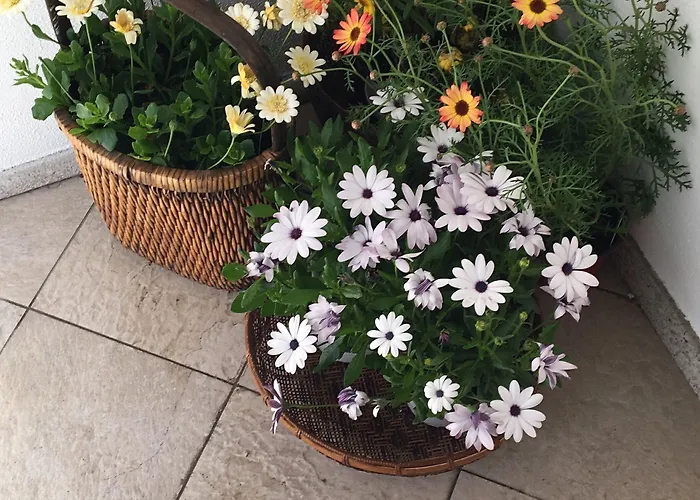 Maison d'hôtes Intra